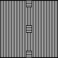 XY in 81 | V=002-04-03-09554